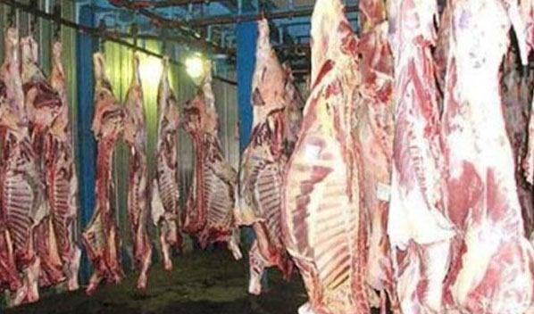 مجوز واردات ۱۰ هزار تن گوشت صادر شد/ به دلیل سقوط ارزش روبل، شانس روسیه قوت گرفت