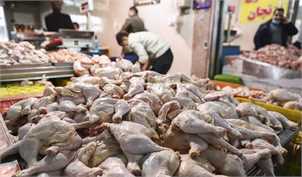 مشکلی در تأمین مرغ بازار شب عید وجود ندارد