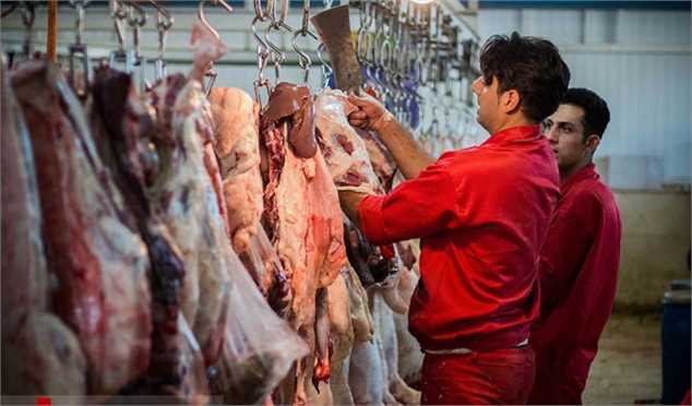 قیمت هر کیلو گوشت گوسفندی تنظیم بازار ۱۱۶ هزار تومان