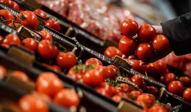 قیمت گوجه فرنگی به کیلویی ۲۵ هزار تومان رسید/ کامیون‌داران تمایلی به بارگیری ندارند
