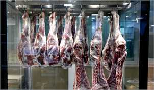 کمبود گوشت قرمز در بازار نداریم/ گوشت با قیمت فعلی، گران فروشی است