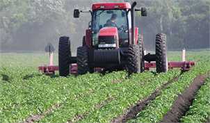 کشاورزی قراردادی راهکاری برای حذف واسطه‌ها، امنیت تولید، کیفیت و حمایت