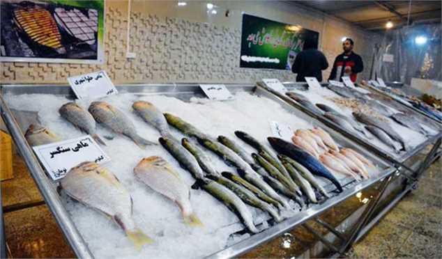 افزایش ۳۰ تا ۳۵ درصدی نرخ نهاده آبزیان/ قیمت ماهی به کیلویی ۱۰۰ هزار تومان رسید