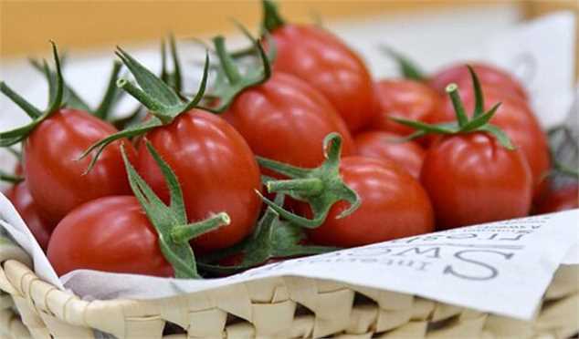 افزایش قیمت گوجه فرنگی و سیب زمینی/کمبود عرضه و صادرات دلایل اصلی