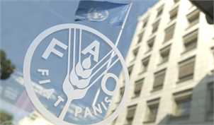 گزارش فائو از رتبه‌های ۳ تا ۱۹ ایران در تولید ۲۰ محصول مهم کشاورزی جهان