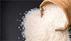 کناره‌گیری دولت از تنظیم بازار برنج/ ممنوعیت واردات لغو می‌شود