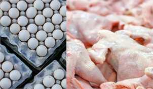قیمت مرغ به زیر نرخ مصوب رسید/ تخم‌مرغ دست تولیدکنندگان مانده است
