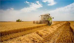 افزایش چشمگیر صادرات محصولات کشاورزی اوکراین