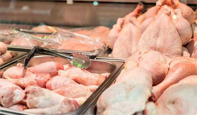 عرضه گوشت مرغ کاهش یافت