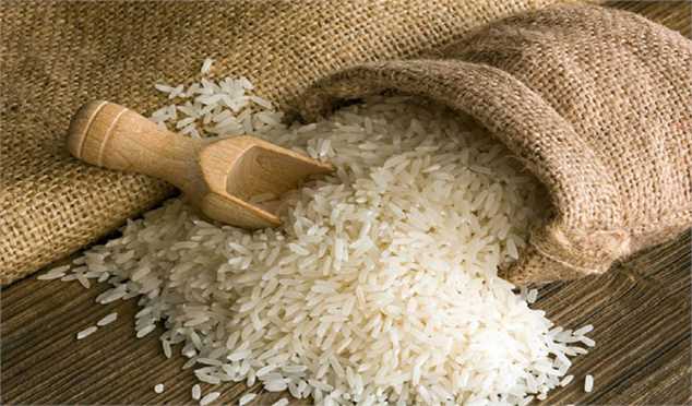 صادرات برنج فعلا ممنوع است
