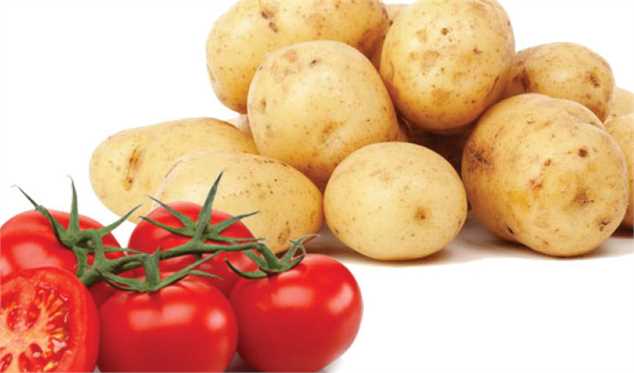 صادرات گوجه فرنگی و سیب‌ زمینی برای تنظیم بازار داخلی مشمول عوارض شد