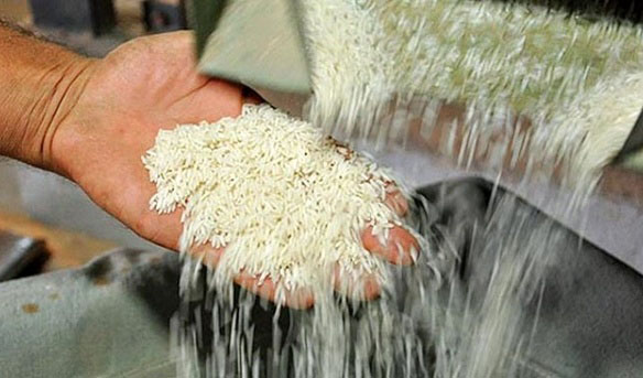 عرضه برنج در بورس کالا می‌تواند سبب کاهش التهاب این بازار شود؟