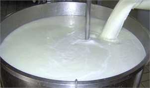 افزایش ۵۵ برابری نتیجه سرکوب قیمت شیر خام/ سرانه مصرف کاهش یافت