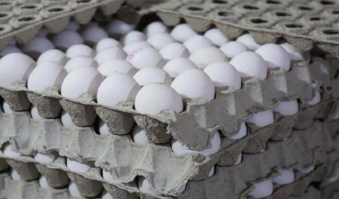 هر کیلو تخم مرغ ۲۰ درصد کمتر از نرخ مصوب عرضه می‌شود