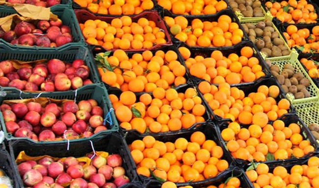 محدودیت صادرات سیب درختی و پرتقال