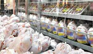 علت گران شدن مرغ افزایش هزینه‌های تولید است