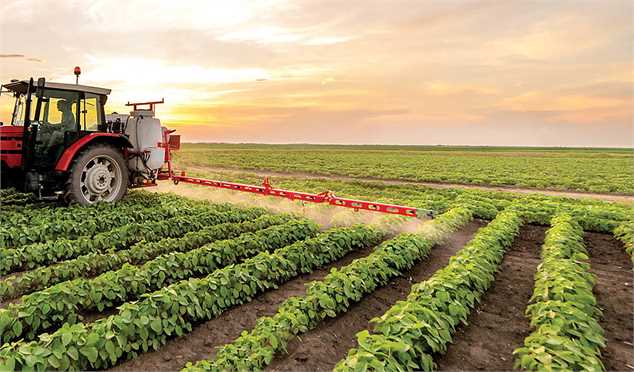 ایران جزء هفت کشور برتر دنیا در تولید محصولات کشاورزی