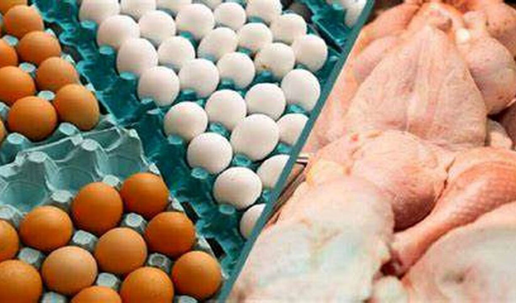 تصویب قیمت های جدید مرغ و تخم مرغ