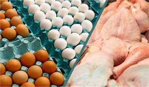 تصویب قیمت های جدید مرغ و تخم مرغ