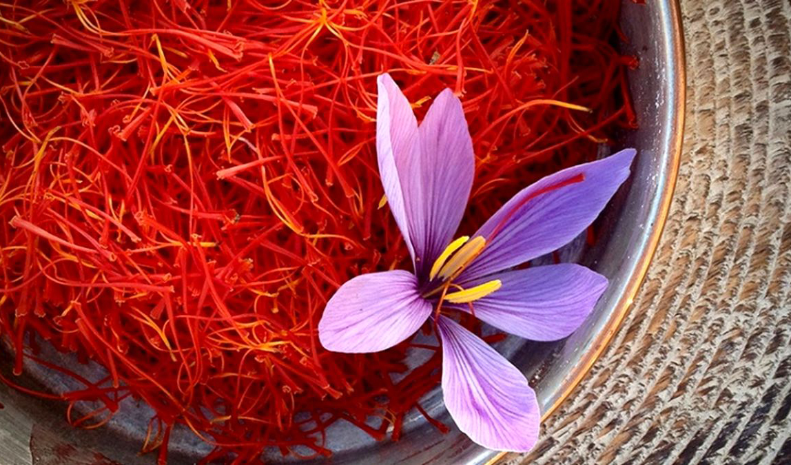 وزارت جهاد کشاورزی امسال برنامه‌ای برای خرید زعفران از کشاورزان ندارد