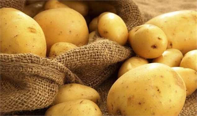 ممنوعیت صادرات پیاز و سیب‌زمینی، از اول خرداد