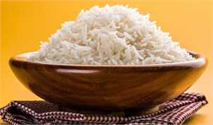 مصری: قرار نیست با لایحه کاهش مالیات ارزش افزوده مجوز واردات برنج بدهیم