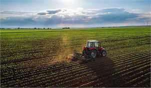 ۶۰ درصد اراضی کشاورزی تا پایان سال سنددار می‌شود