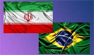 رایزنی برای صادرات میوه از ایران به برزیل/ مرکز تجاری ایران در برزیل کار خود را آغاز کرد/ زمین برای کشت فراسرزمینی خریداری نکردیم