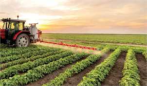 ظرفیت‌های بخش کشاورزی برای صادرات به آفریقا