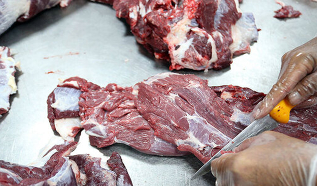 رئیس شورای تامین‌کنندگان دام: قیمت واقعی گوشت قرمز مشخص نیست