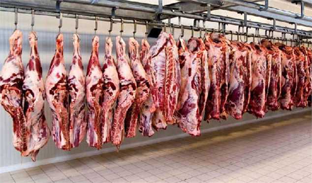 فروشندگان گوشت منتظر مشتری هستند/ گوشت وارداتی از روسیه و کنیا وارد بازار شد