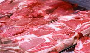 سرانه ۵ کیلوگرمی مصرف گوشت قرمز در کشور/ کاهش ۶۰ درصدی مصرف دروغ است