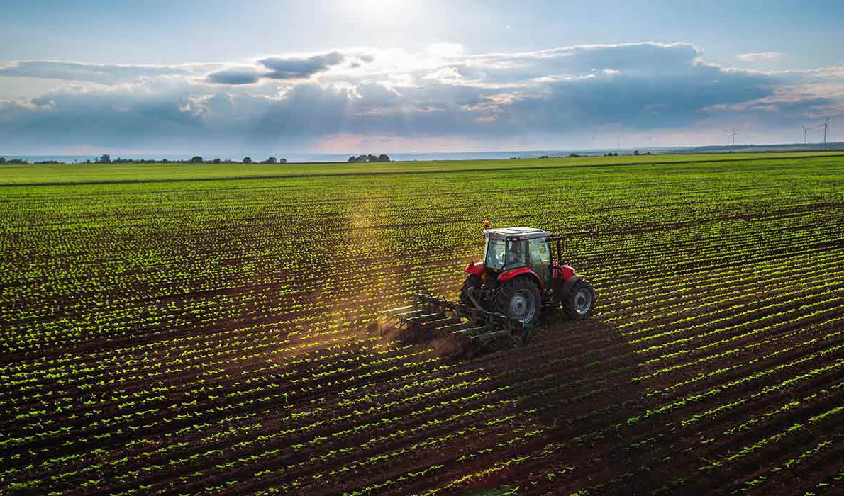 رشد 22 میلیون دلاری صادرات محصولات کشاورزی در نیمه نخست سال 1402