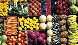 صادرات محصولات کشاورزی ۲۰ درصد افزایش یافت