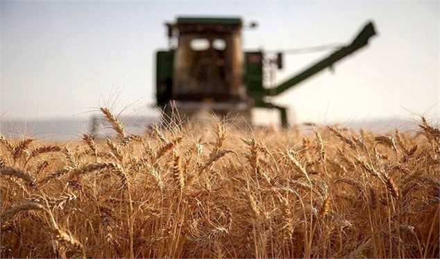 کاهش قیمت جهانی گندم