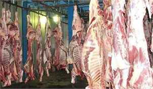 تداوم کاهش قیمت گوشت در ماه‌های آینده/ ترانزیت دام از آسیای مرکزی دوباره برقرار شود