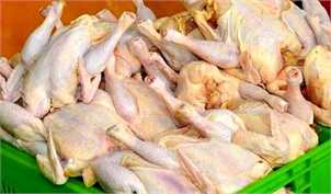 هر کیلو گوشت مرغ در بازار ۸۵.۸۰۰ تومان