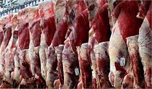 توزیع گوشت‌های وارداتی تا پایان سال ادامه دارد