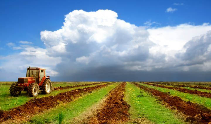 قانون تضمین خرید محصولات کشاورزی تصویب شد