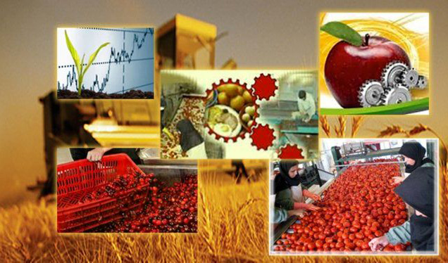 فائو: ایران در تولید ۷ محصول جزو ۵ کشور نخست جهان است