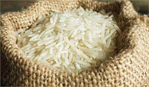 سیستمی شدن ثبت واردات، بازار برنج را شفاف می‌کند