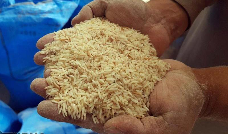 اختلال در شفافیت بازار برنج