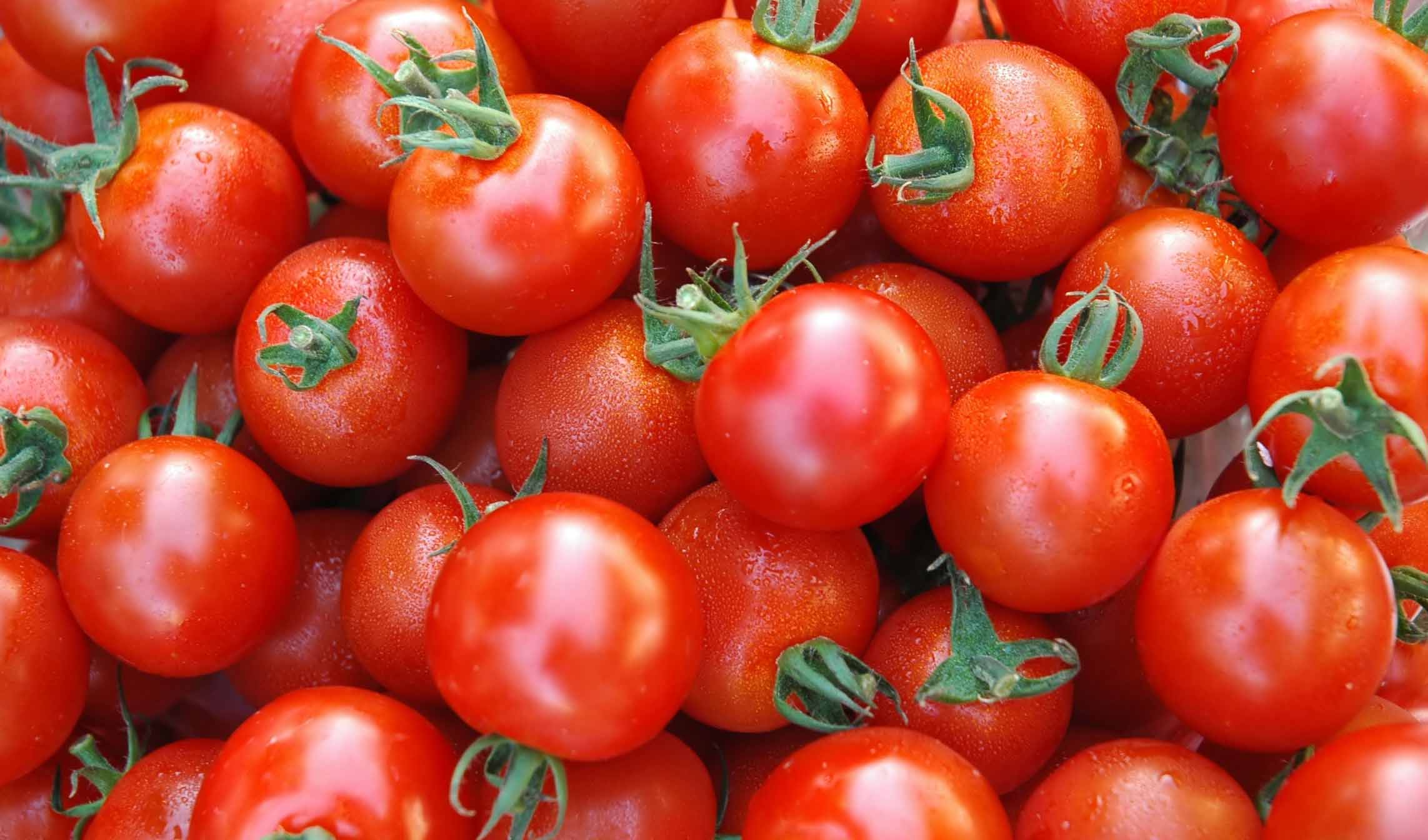 عوارض صادراتی پیاز و گوجه فرنگی کاهش یافت