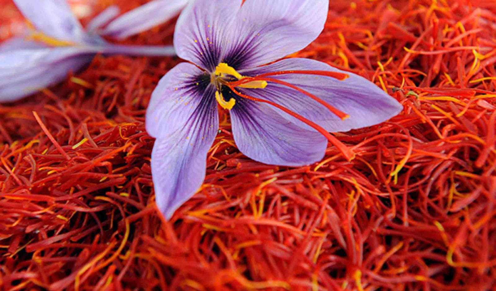 رفع تنگناهای ارزی صادرات زعفران/ ۹۰ درصد زعفران دنیا را تامین می‌کنیم