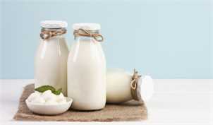 تولید شیرخام از ۱۱ میلیون تن فراتر می‌رود