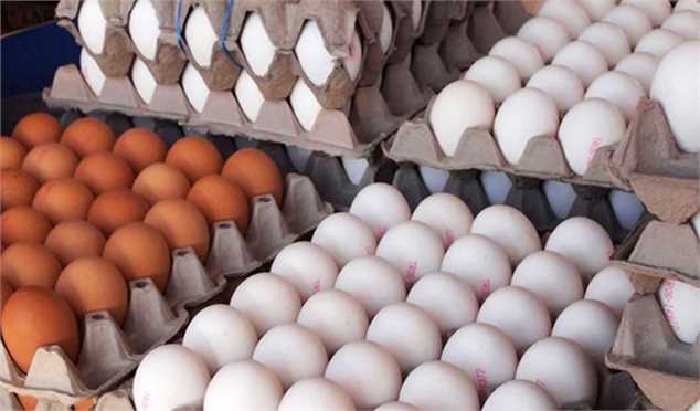 تولید تخم‌‌مرغ فروردین به ۱۰۵ هزارتن می‌رسد