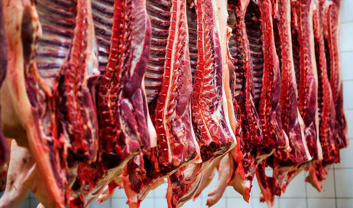 اقدامات دولت سیزدهم در جهت رشد صنعت دامی/ افزایش عرضه گوشت در بازار