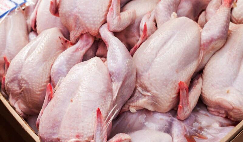 چه میزان از هزینه تولید مرغ مشمول دریافت ارز ترجیحی نمی‌شود؟/ عرضه پایین‌تر از نرخ مصوب