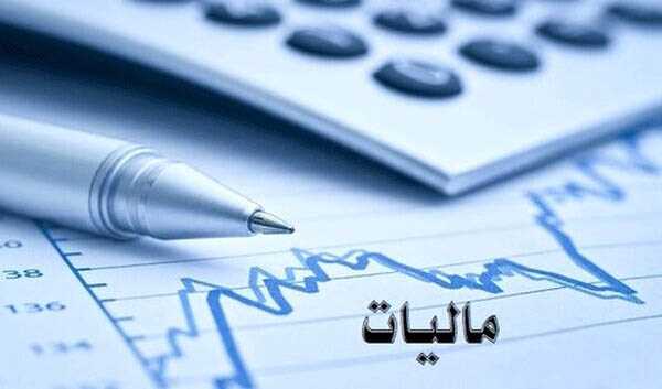 ۲۵ هزار گزارش مردمی در حوزه فرار مالیاتی دریافت شد